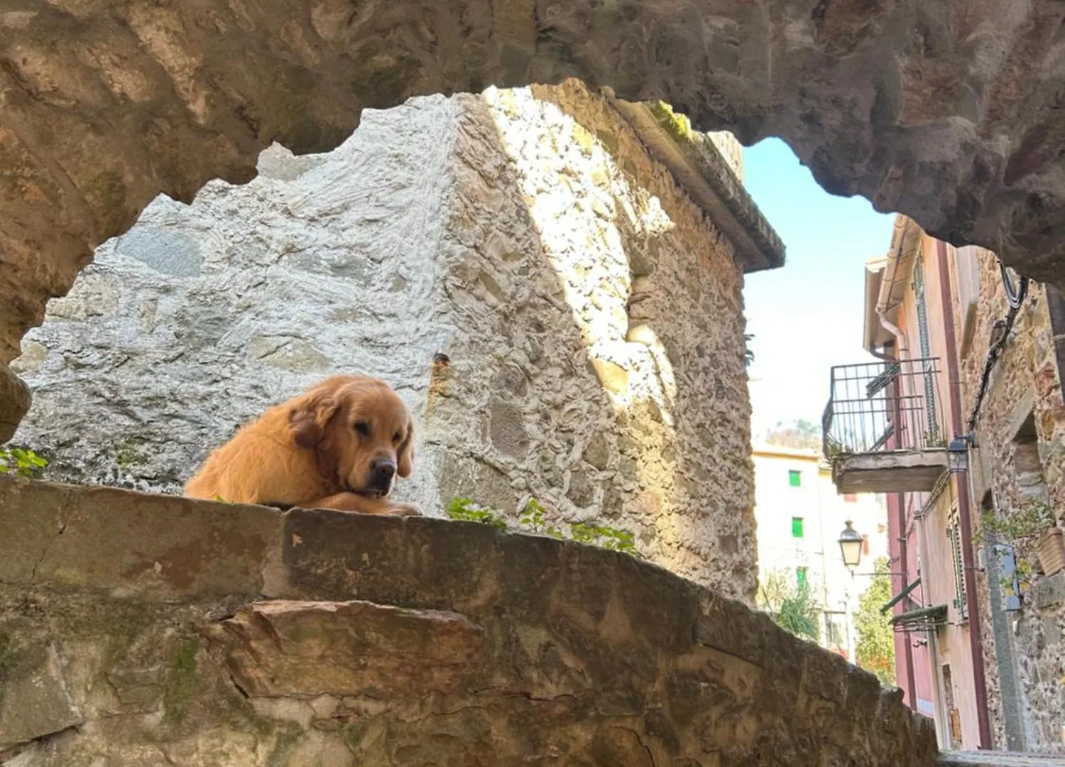 Appartamento El Fossadeu-Biassa-Cinque Terre Biassa